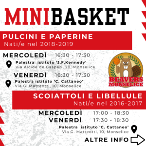 Monselice Basket 1