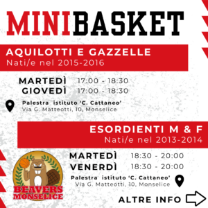 Monselice Basket 2