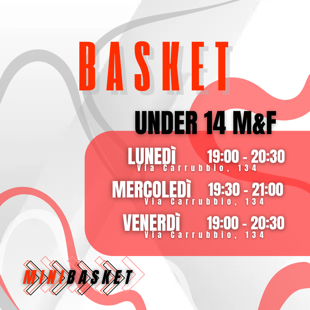 Monselice Basket 2